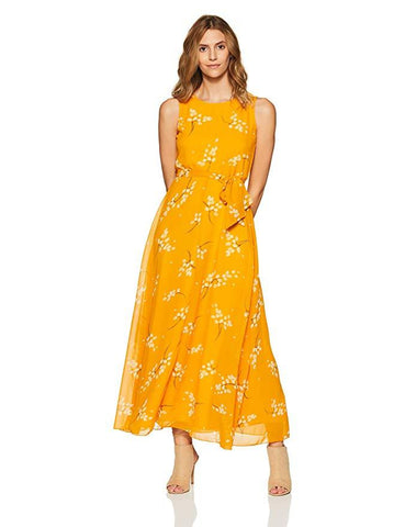 Styleville.in Women's Skater Maxi Dress